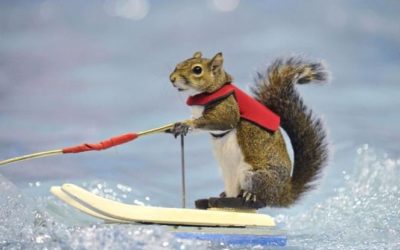 Tips For Improving Your Coping Skills