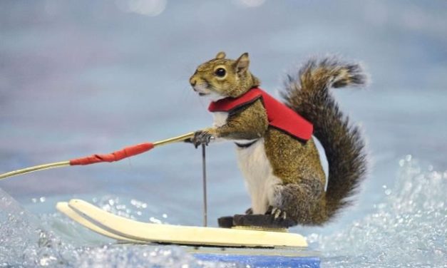 Tips For Improving Your Coping Skills