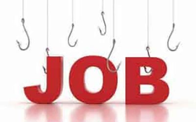 Job Loss And Future Plans