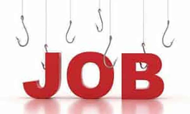 Job Loss And Future Plans