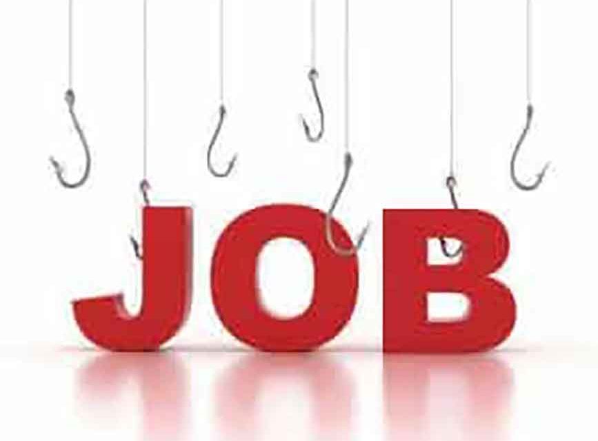 Job Loss And Future Plans