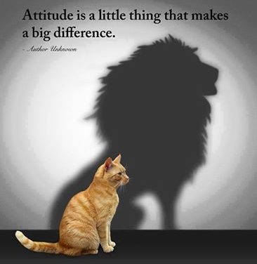 Positive Attitude: A Successful Formula