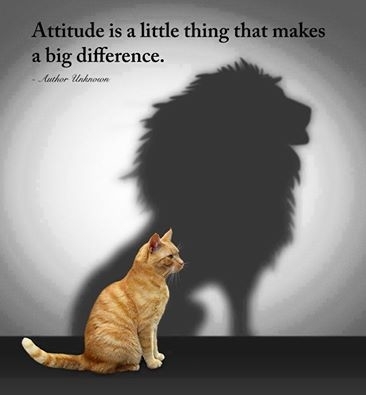 Positive Attitude: A Successful Formula