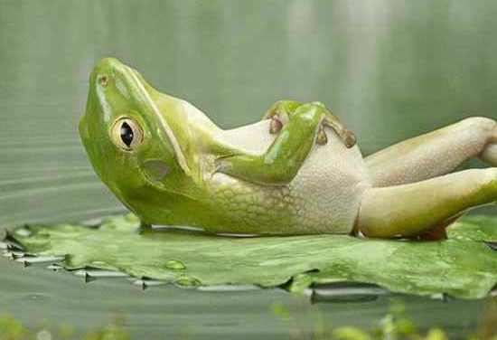 Going With The Flow: Transition As A Way Of Life