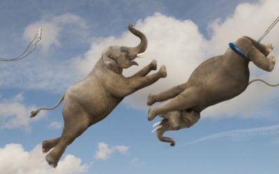 Put Your Talents To Work For You