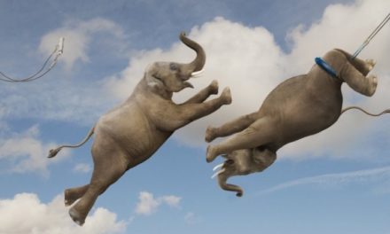 Put Your Talents To Work For You