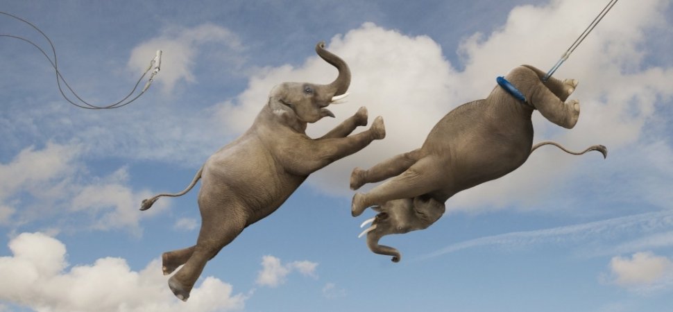 Put Your Talents To Work For You