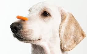 We All Need More Patience – NOW!