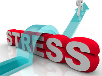 What Is Your Stress Level?